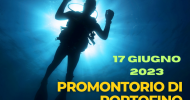 IMMERGITI CON NOI NEL PARCO MARINO PROTETTO DI PORTOFINO