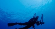 Immersione AMP di Portofino