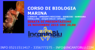 Corso di Biologia Maria