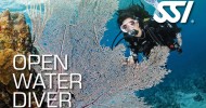 CORSO OPEN WATER DIVER 