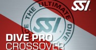 CROSSOVER SSI