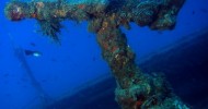 Full day dedicato ai relitti del golfo di Sestri Levante