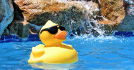 Festa in piscina di Passione Sub Club Parma