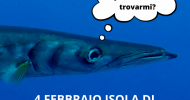 IMMERSIONE A BERGEGGI