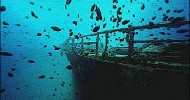 Immersione Notturna su Bettolina
