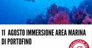 IMMMERSIONE NELL'AREA MARINA PROTETTA DI PORTOFINO