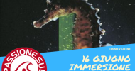 Immersioni a Bergeggi