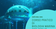 CORSO PRATICO DI BIOLOGIA MARINA CON EMILIO MANCUSO