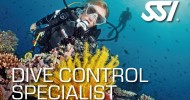 DIVE CONTROL SPECIALIST