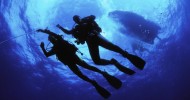 Immersioni il 25 Aprile