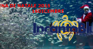 Cena di Natale