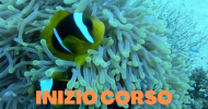 INIZIO CORSO OPEN WATER DIVER SSI