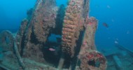 Doppio tuffo nell'area marina protetta di Portofino
