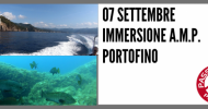 IMMERSIONI AMP PORTOFINO