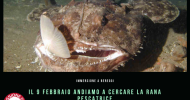 ALLA RICERCA DELLA RANA PESCATRICE