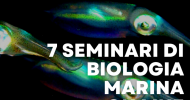 7 SEMINARI DI BIOLOGIA MARINA ON LINE