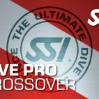 crossover ssi