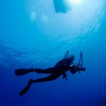 Immersione AMP di Portofino