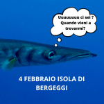 IMMERSIONE A BERGEGGI