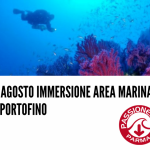 IMMMERSIONE NELL'AREA MARINA PROTETTA DI PORTOFINO