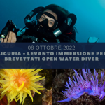 IMMERSIONE LEVANTO - RISERVATA BREVETTATI OPEN WATER DIVER