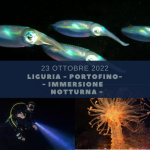 PORTOFINO IMMERSIONE NOTTURNA