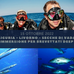 SECCHE DI VADA - LIVORNO -