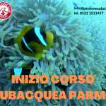 INIZIO CORSO OPEN WATER DIVER SSI