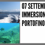 IMMERSIONI AMP PORTOFINO