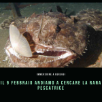 ALLA RICERCA DELLA RANA PESCATRICE