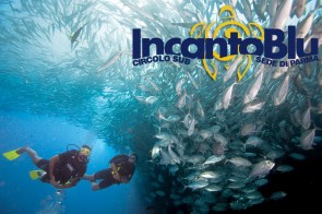 Promozione Discover Scuba diver