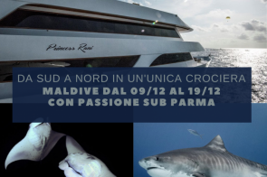 DA SUD A NORD IN UNA UNICA CROCIERA