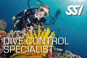 DIVE CONTROL SPECIALIST