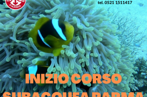 INIZIO CORSO OPEN WATER DIVER SSI