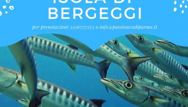 immersione a Bergeggi