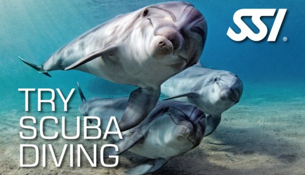 Try Scuba