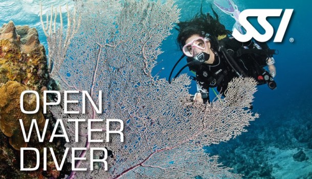 corso open water diver parma