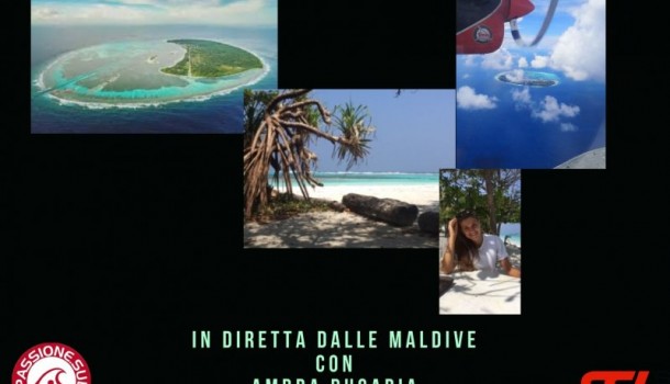 Diving in Maldive
