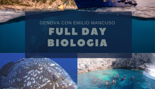 FULL DAY BIOLOGIA MARINA AMP PORTOFINO