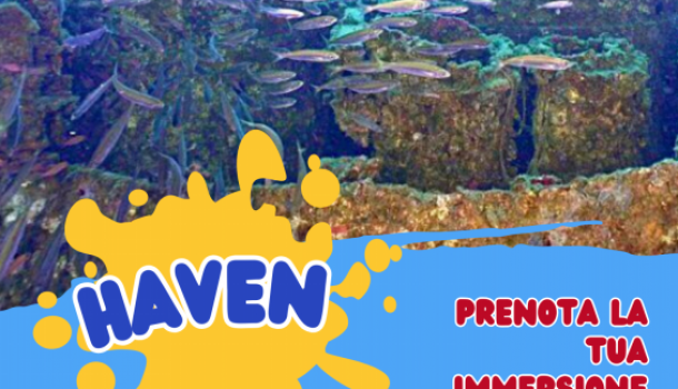 IMMERSIONE HAVEN