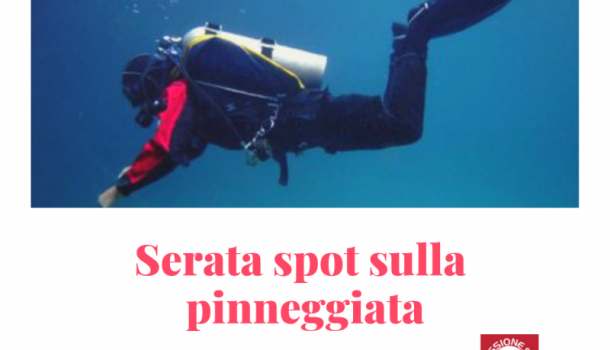 pinneggiata