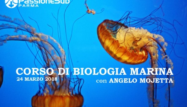 corso di biologia marina
