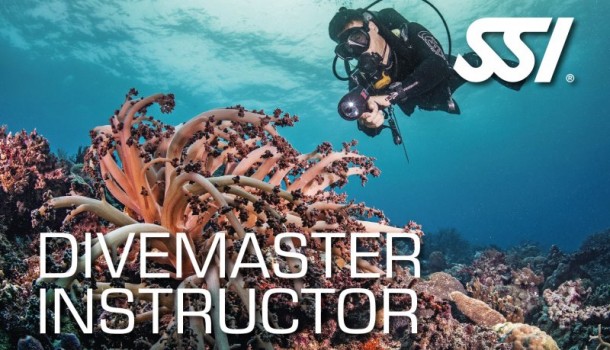 dive master instructor