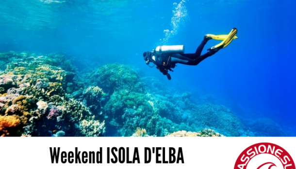 Week-end di immersioni all'Isola d'Elba