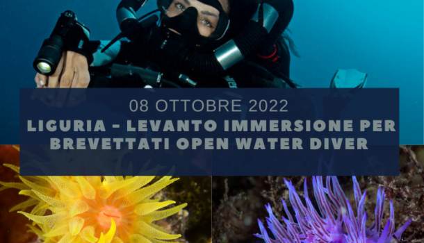 IMMERSIONE A LEVANTO