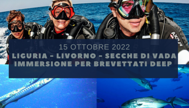 SECCHE DI VADA