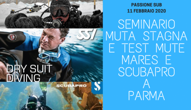 seminario muta stagna