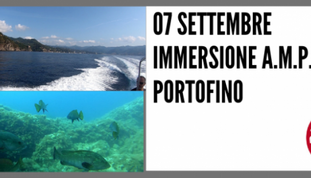 immersioni amp portofino