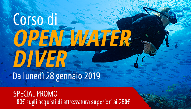open water diver ssi