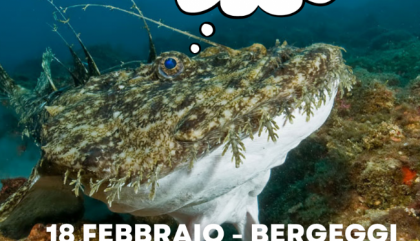 RANA PESCATRICE RICERCA